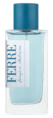 PerfumeriaErbelGianfrancoFerreFougèreItalianoEDTFlakonPerfumDlaiMężczyzny