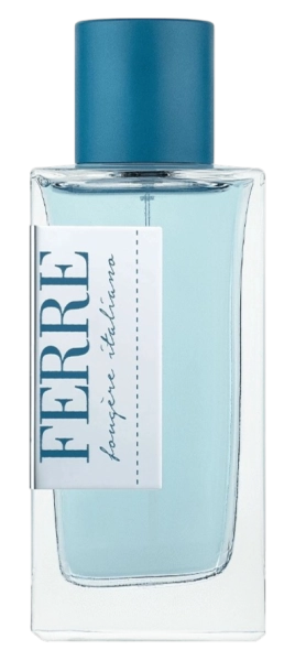 PerfumeriaErbelGianfrancoFerreFougèreItalianoEDTFlakonPerfumDlaiMężczyzny