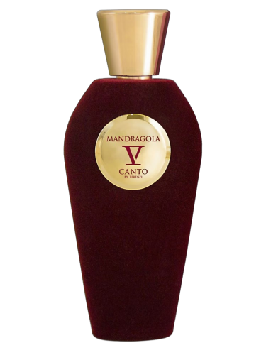 v canto mandragola ekstrakt perfum 5 ml     odlewka