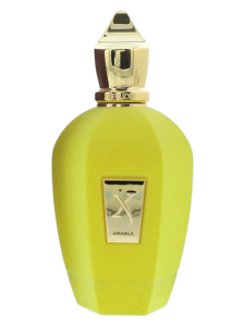XerjoffAmabilePerfumeriaErbelOdlewkiPerfum.png