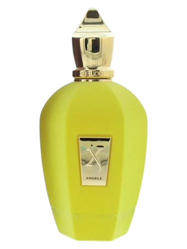 xerjoff amabile woda perfumowana 5 ml     odlewka