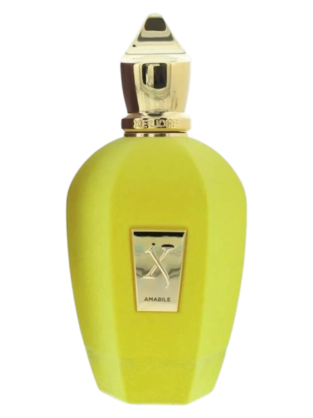 XerjoffAmabilePerfumeriaErbelOdlewkiPerfum.png