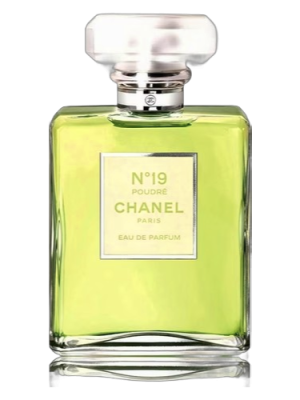 PerfumeriaErbelChanelN19PoudreOdlewkiPerfum