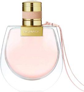 image-removebg-preview (2).png
