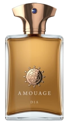 PerfumeriaErbelAmouageDiaMan