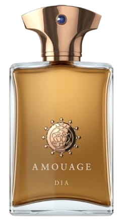 PerfumeriaErbelAmouageDiaMan