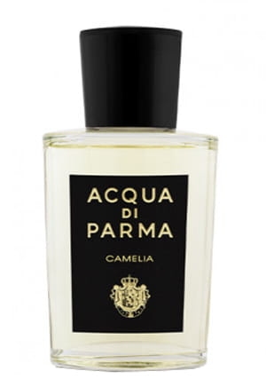 AcquadiParmaCameliaEDPPerfumeriaErbel