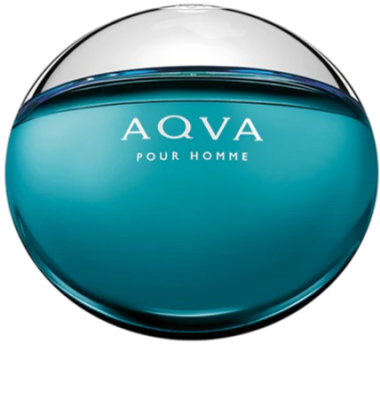 BvlgariAqvaPourHommeEDTPerfumeriaErbel