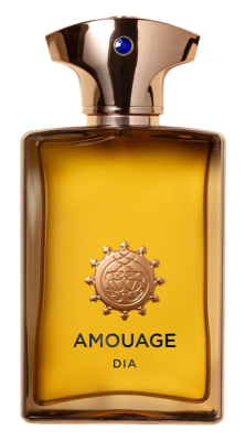 PerfumeriaErbelAmouageDiaManEDPlakonPerfumNiszowych