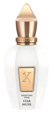 Bez_tytułu-removebg-preview (1).png