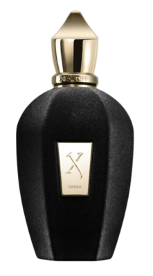 Bez_tytułu-removebg-preview (1).png