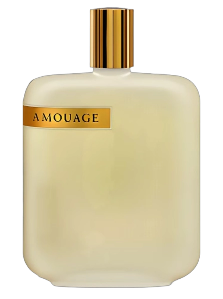 AmouageOpusIIPerfumeriaErbel.png