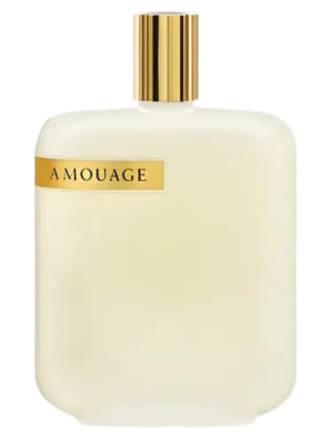 AmouageOpusIIIPerfumeriaErbel.png