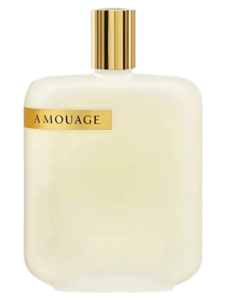 AmouageOpusIIIPerfumeriaErbel.png