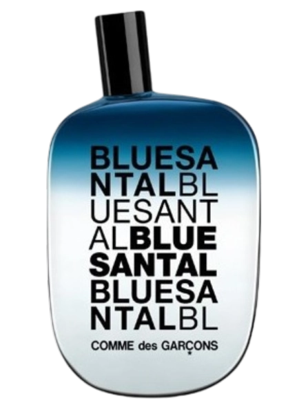 CommedesGarconsBlueSantalPerfumeriaErbel.png