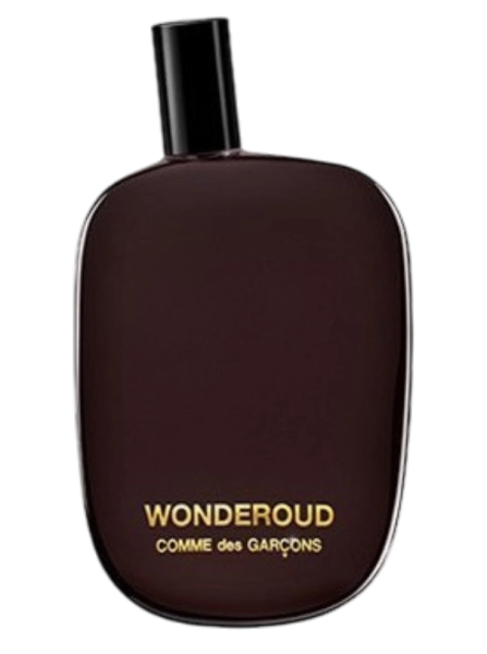 CommedesGarconsWonderoudPerfumeriaErbel.png
