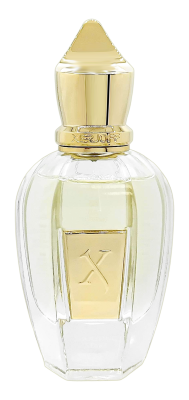 PerfumeriaErbelXerjoffShootingStarsUdenParfumFlakonPerfumNiszowych