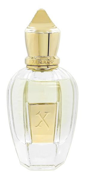 PerfumeriaErbelXerjoffShootingStarsUdenParfumFlakonPerfumNiszowych